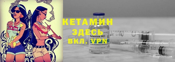 прущие грибы Беломорск