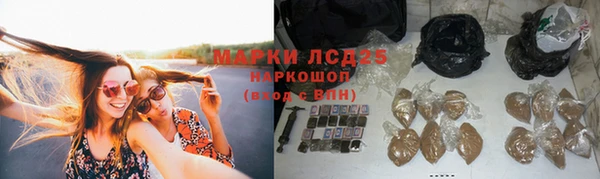 индика Белокуриха
