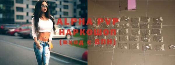 прущие грибы Беломорск