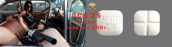 индика Белоозёрский