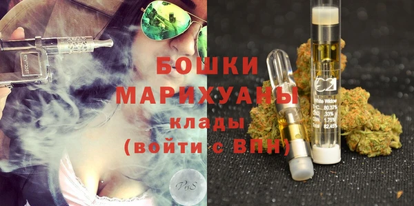 индика Белокуриха