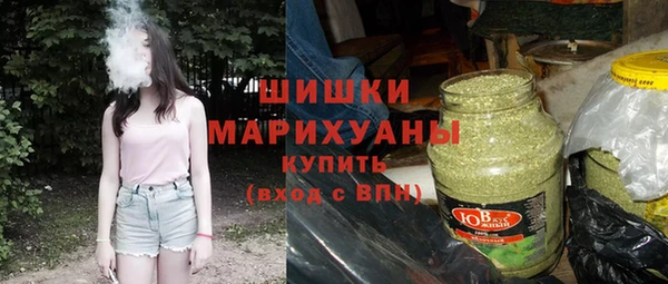 индика Белокуриха
