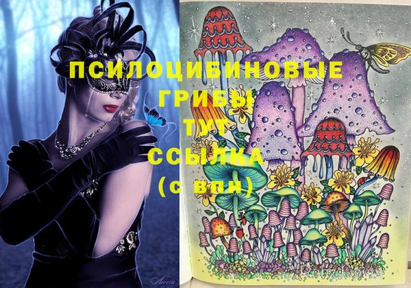 индика Белокуриха