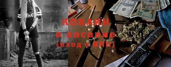 индика Белоозёрский