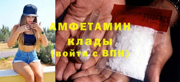 прущие грибы Беломорск