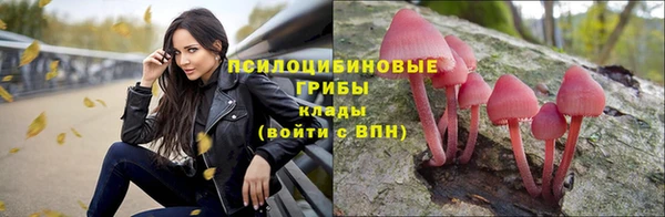 индика Белокуриха
