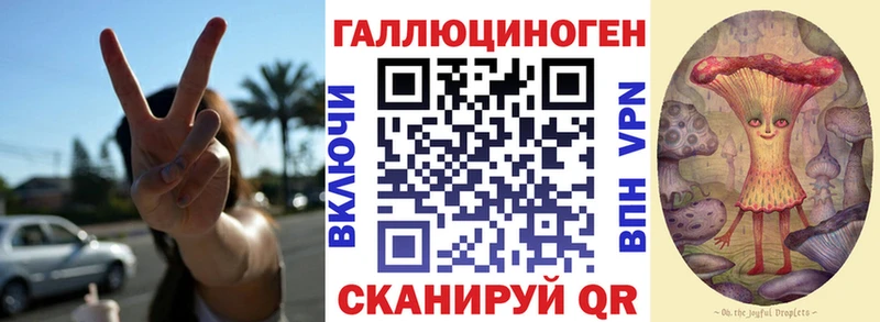 Псилоцибиновые грибы GOLDEN TEACHER  купить наркотик  Нерюнгри 
