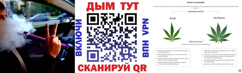 Каннабис конопля mega зеркало Нерюнгри